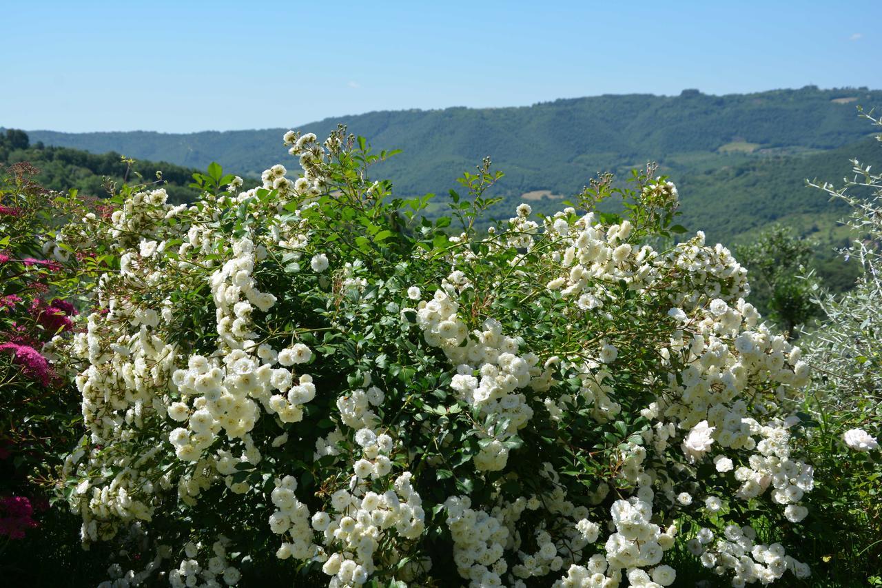 Il Poggiolo Di Parrano Guest House ภายนอก รูปภาพ