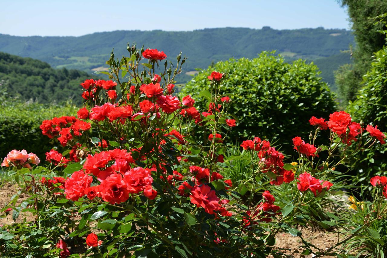 Il Poggiolo Di Parrano Guest House ภายนอก รูปภาพ