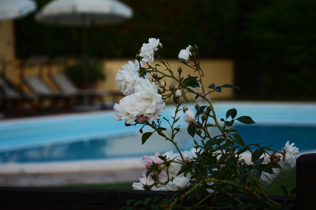 Il Poggiolo Di Parrano Guest House ภายนอก รูปภาพ